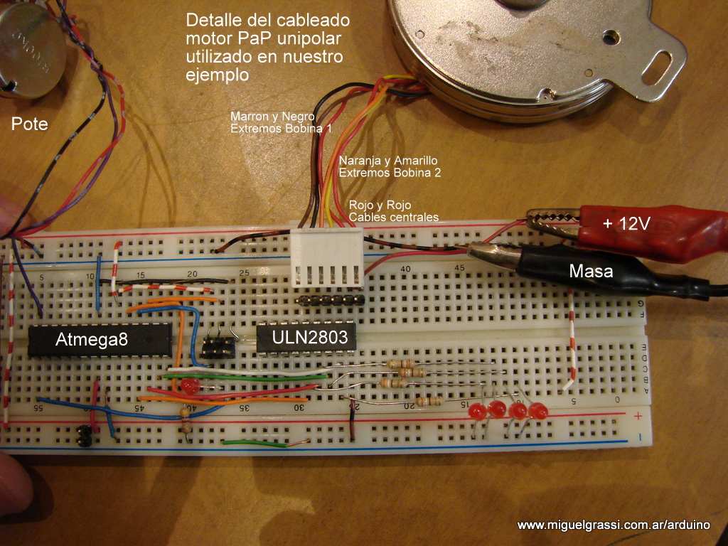 Cableado motor Paso a paso del ejemplo